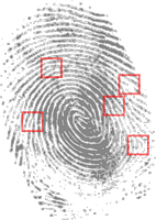 fingerprint-146242_640 fingerprint-146242_640