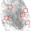 fingerprint-146242_640